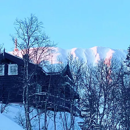 Modern Och Bekvaem Hytte Naera Gaustatoppen, 4 Sovrum 10 Baeddar Gaustablikk