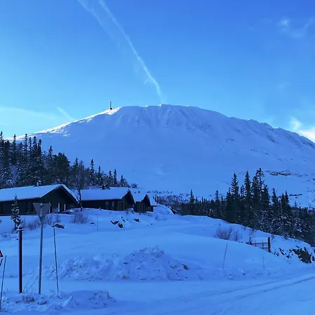 Modern Och Bekvaem Hytte Naera Gaustatoppen, 4 Sovrum 10 Baeddar Holiday home Gaustablikk
