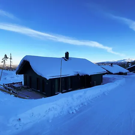 Modern Och Bekvaem Hytte Naera Gaustatoppen, 4 Sovrum 10 Baeddar Gaustablikk