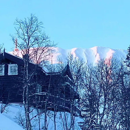 Modern Och Bekvaem Hytte Naera Gaustatoppen, 4 Sovrum 10 Baeddar Gaustablikk
